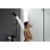Hansgrohe Pulsify Select 105 24170000 - фото 5