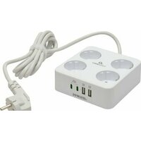 Cablexpert PLT-4-C2U2-W-2