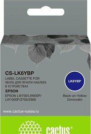 CACTUS CS-LK6YBP фото