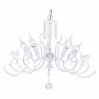 Favourite Cardellino 1836-5P