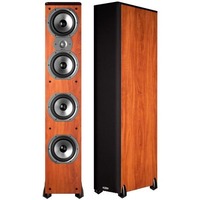 Polk audio TSi500