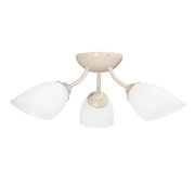 Vitaluce V3405/3PL фото