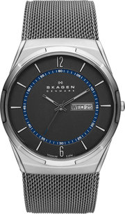 Skagen SKW6078 фото