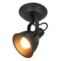 Silver light 310.42.1