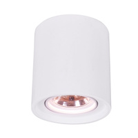 Arte Lamp A9262PL-1WH